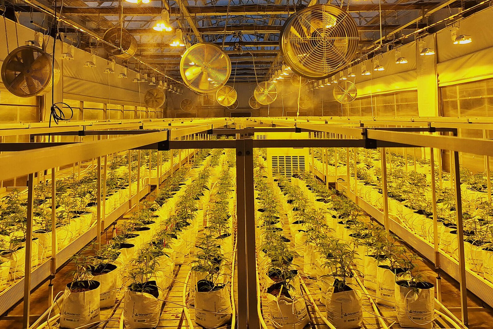 Υδρονέφωση Θερμοκήπιο Anthera