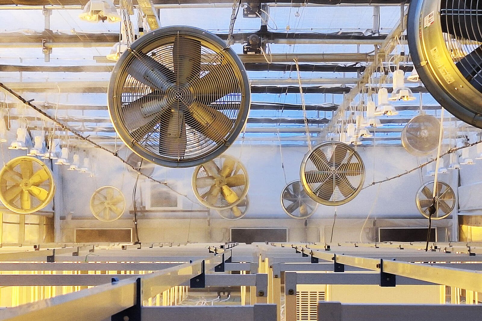 Υδρονέφωση Θερμοκήπιο: Εγκαταστάσεις συστημάτων βιομηχανικής υδρονέφωσης